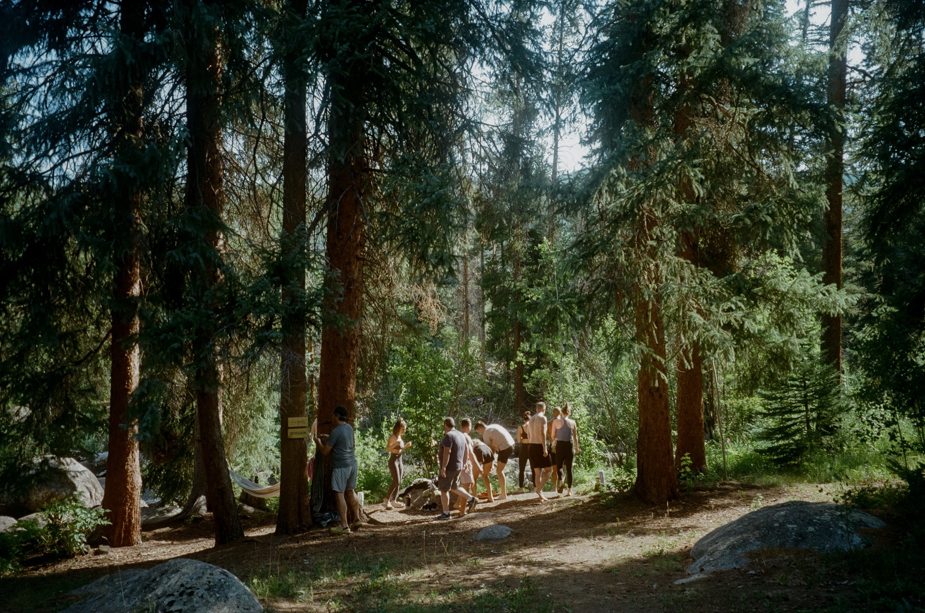 A group exploring the forest at Beyul Retreat